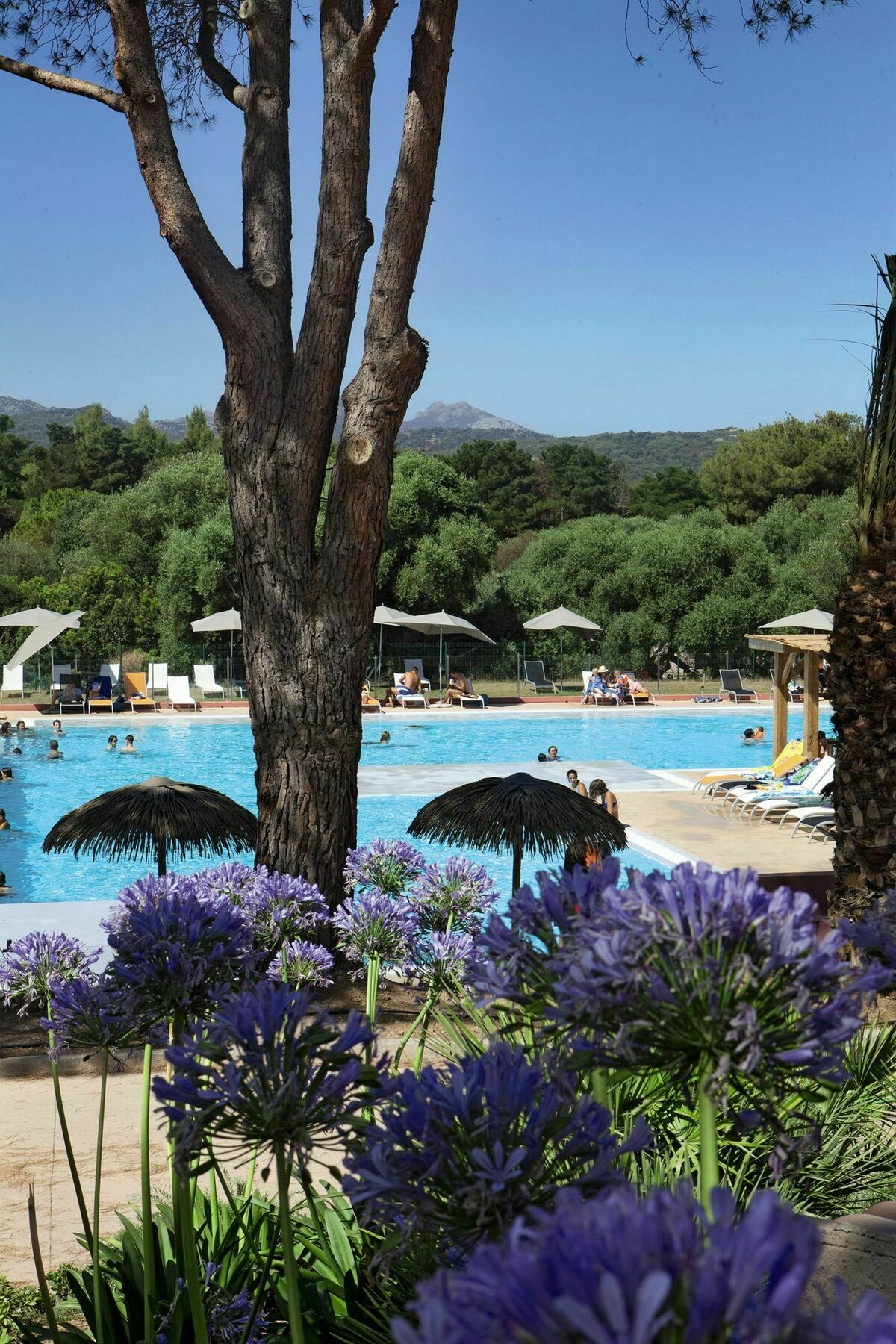 Belambra Clubs Belgodere - Golfe De Lozari Otel Dış mekan fotoğraf